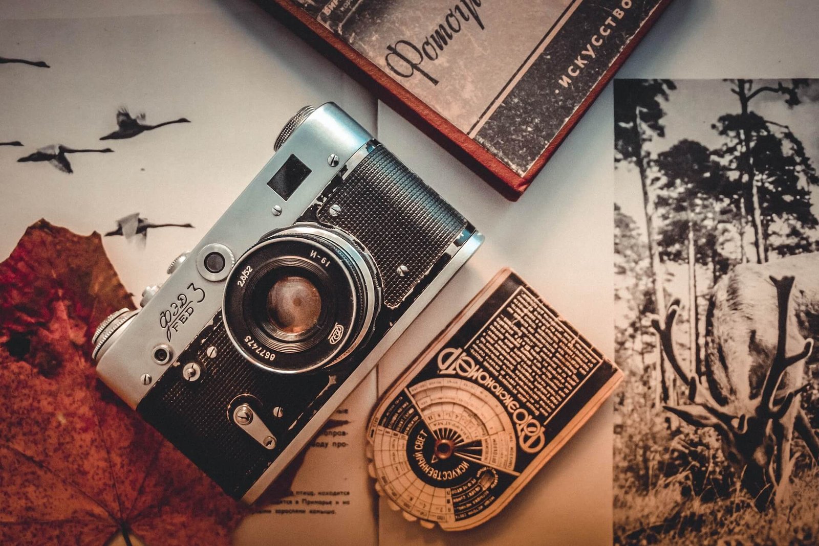 Beautiful Anniversary